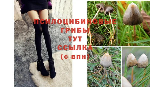 бутик Абаза